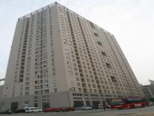 �������͹�Ԣ���������ɽ��ʡ�����������̩ɽ����